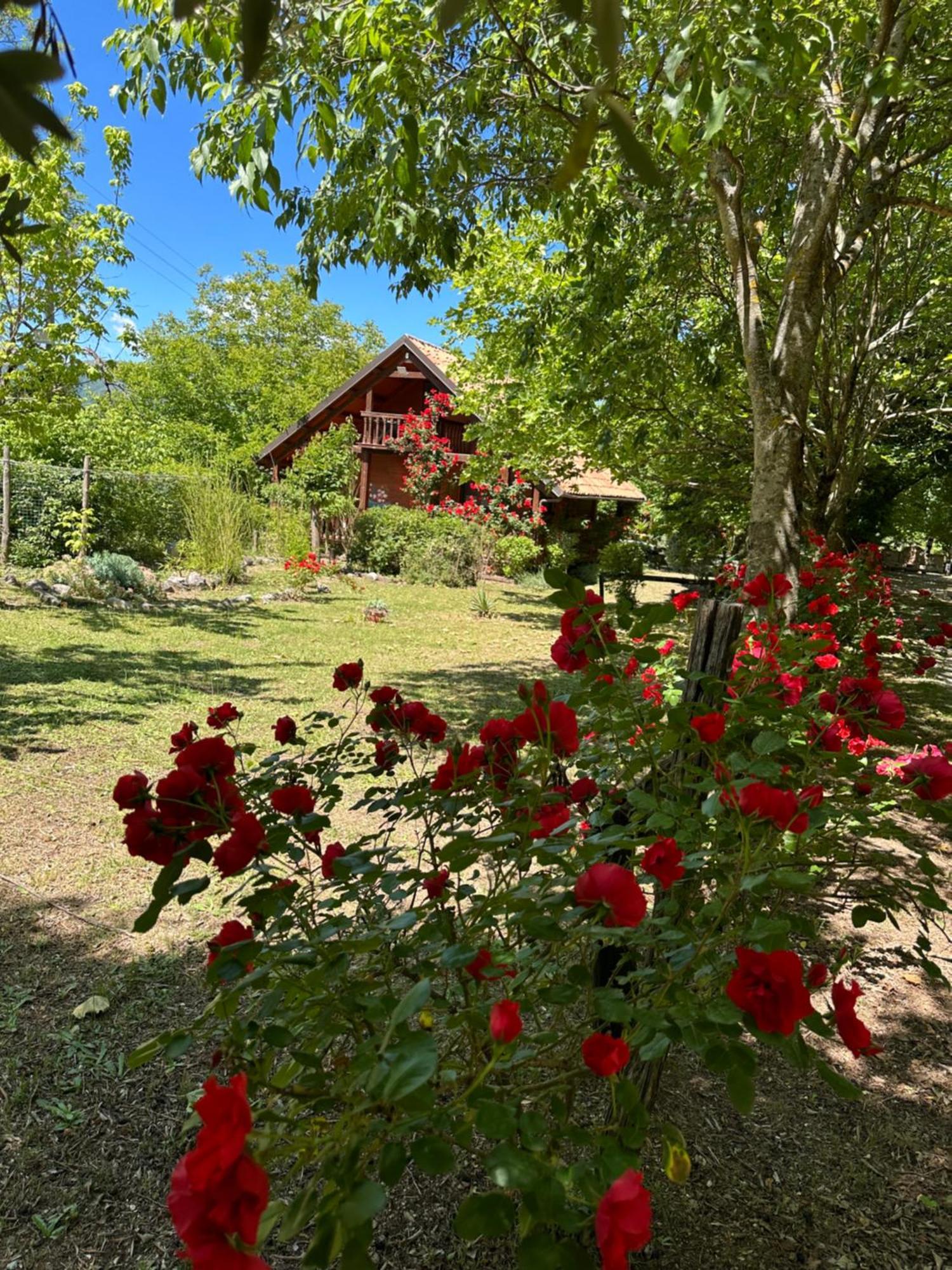 Ciclopark Morano Calabro Villa Luaran gambar
