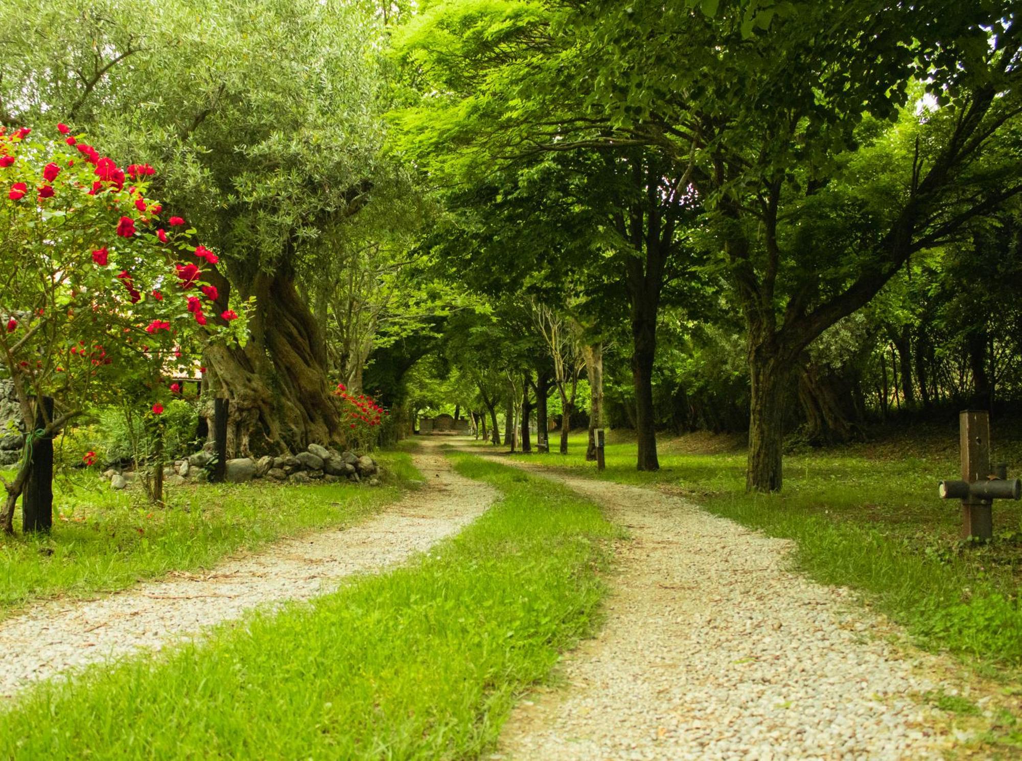 Ciclopark Morano Calabro Villa Luaran gambar